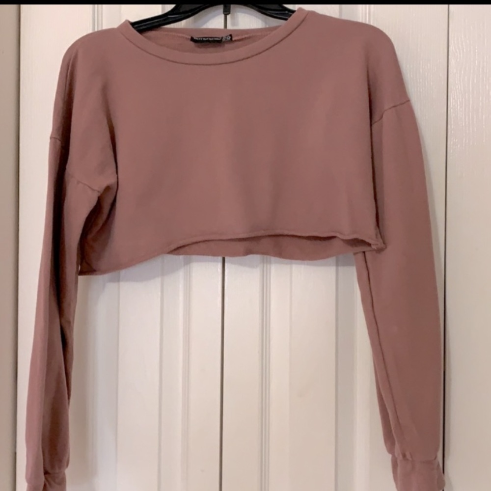 Pretty little things mauve cropped long sleeve top